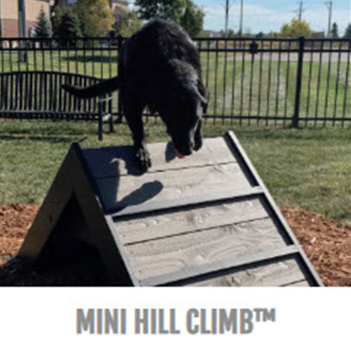 CAD Drawings BIM Models Gyms For Dogs™ Mini Hill Climb™
